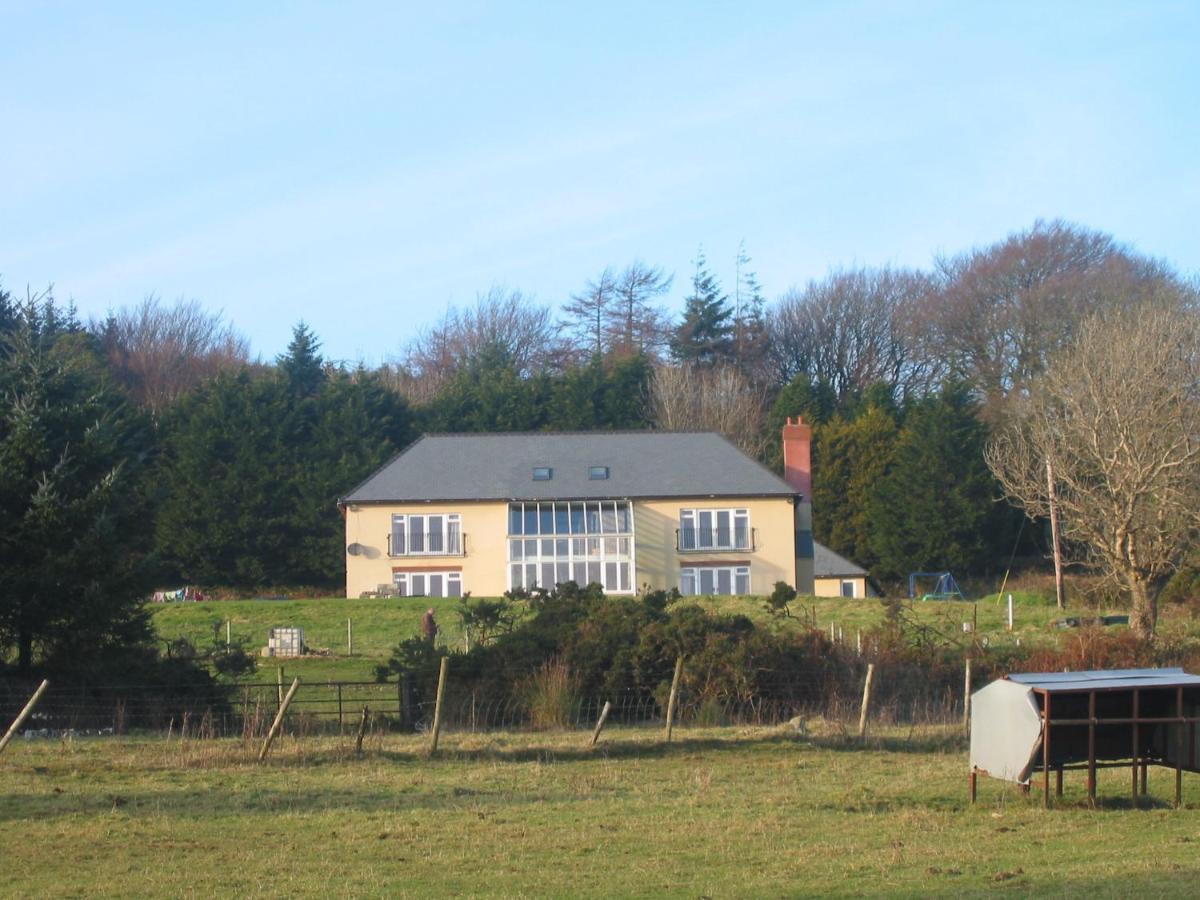 The Dales Bed & Breakfast Gorey Exterior photo